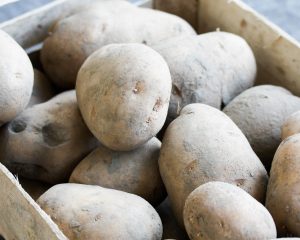 Doré aardappel (nieuwe oogst)