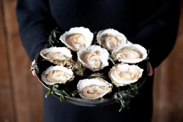 Zeeuwse platte oesters