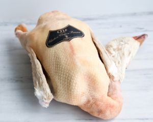 bresse gans