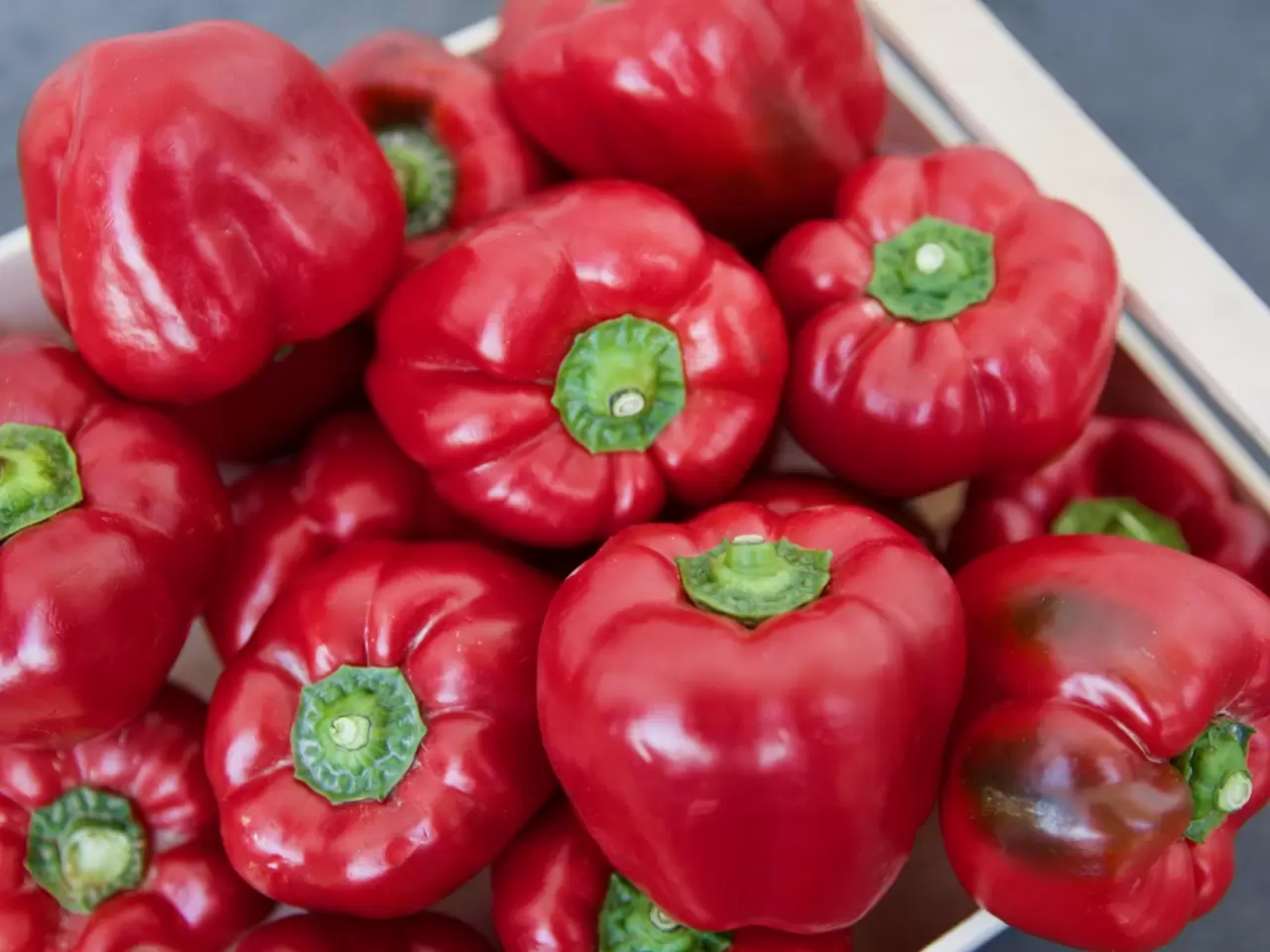 paprika rood