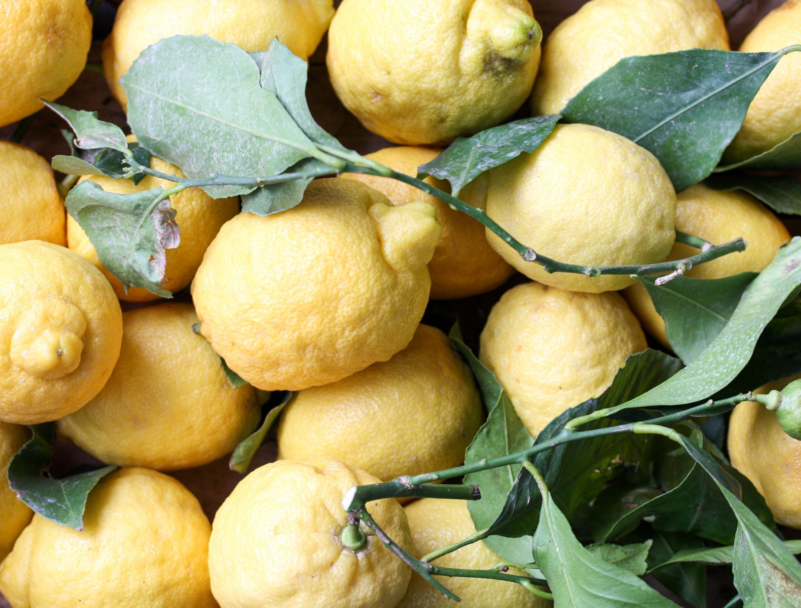 Sorrento citroen -