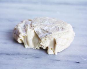Witte van köning