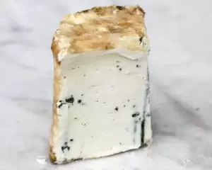 Lady's blue