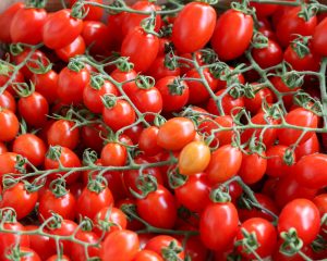 Datterino tomaat 