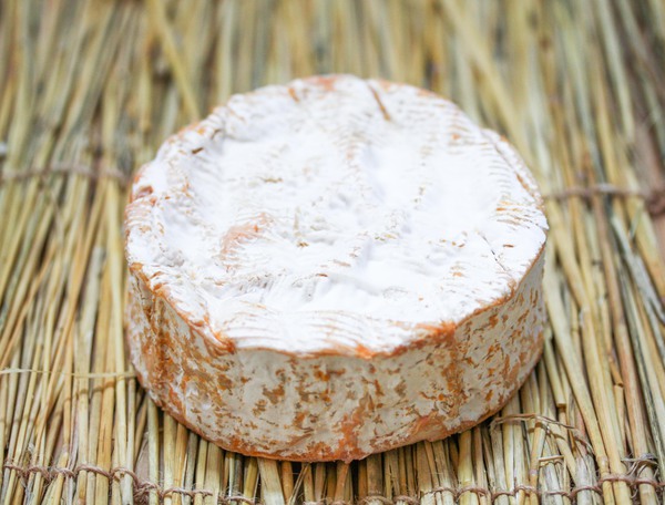 Camembert marie harel fermier AOP