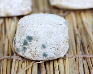 Crottin de chavignol affiné AOP