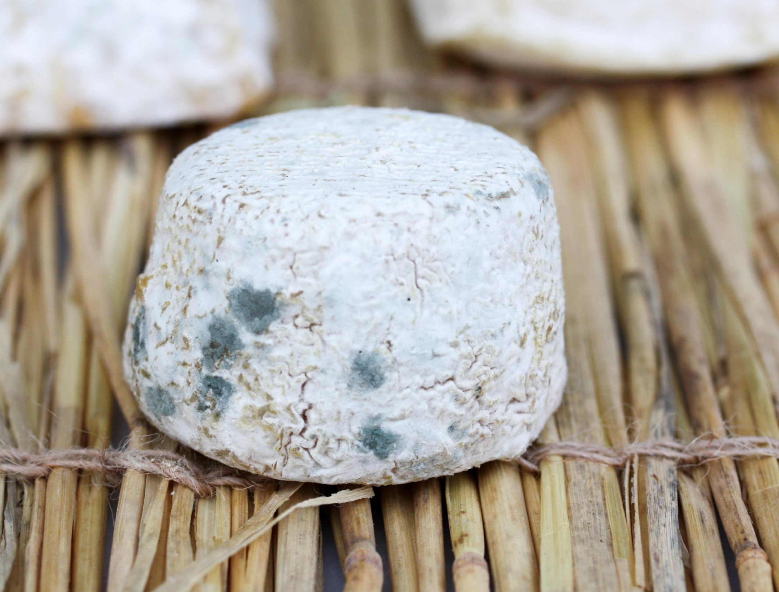 Crottin de chavignol affiné AOP