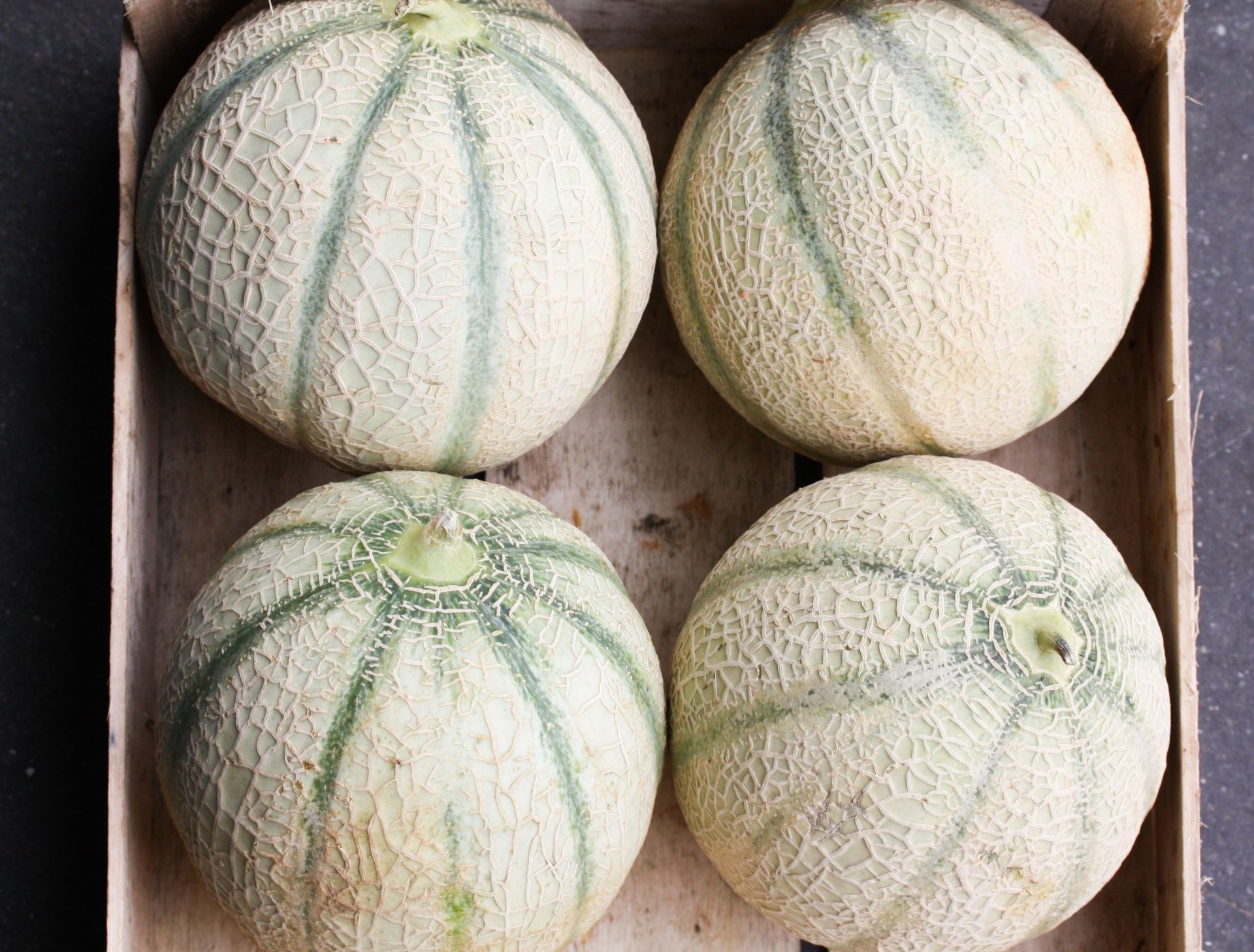 Cantaloupe meloen