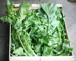 Cime di rapa
